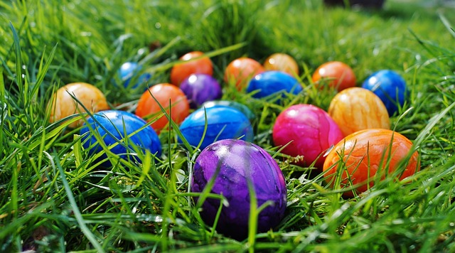 vajíčka v trávě